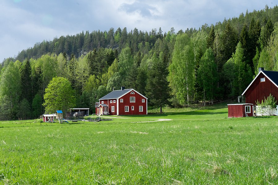 Ett rött hus med vita knutar. Det är försommar och gräset är grönt. Foto: Emma Bergström