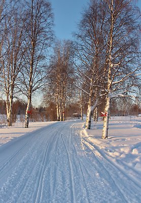 Skoterled i Sundsvalls kommun.